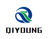 Shenzhen Qiyoung Technology co.,LTD
