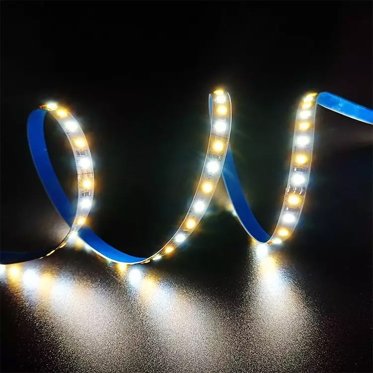 CCT LED Strip Light Single LED